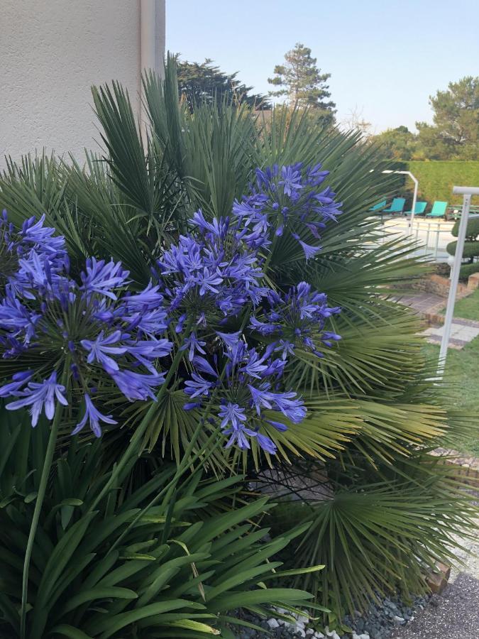 Villa Amare Granville Saint-Pair-sur-Mer Buitenkant foto